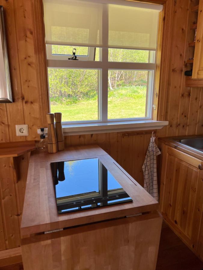 Summerhouse Vaglaskogur Akureyri Bagian luar foto