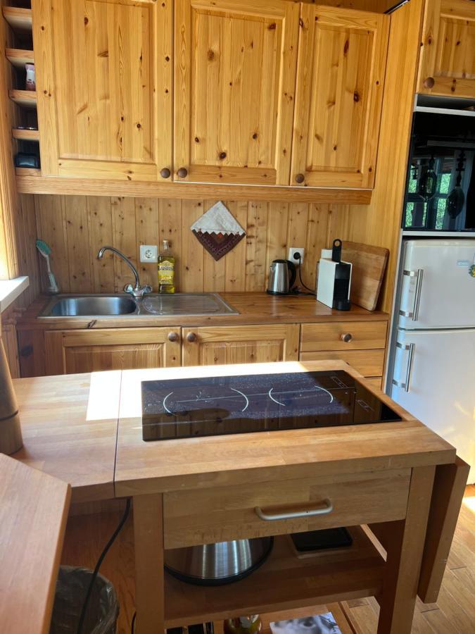 Summerhouse Vaglaskogur Akureyri Bagian luar foto