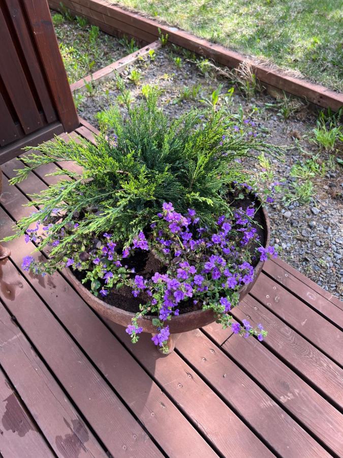 Summerhouse Vaglaskogur Akureyri Bagian luar foto