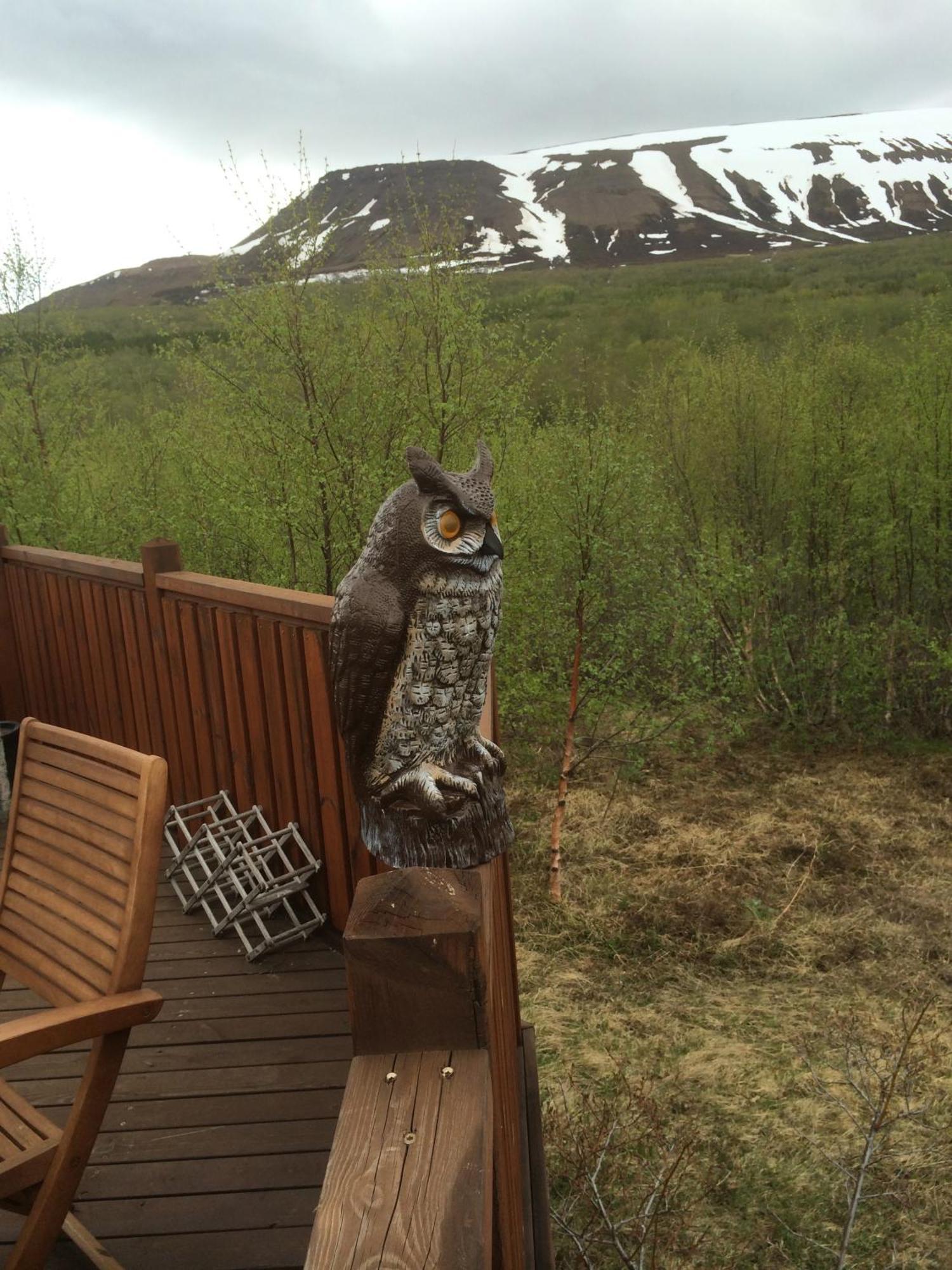 Summerhouse Vaglaskogur Akureyri Bagian luar foto